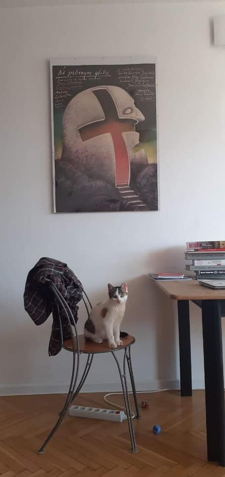 Fundacja Kraina Zwierząt