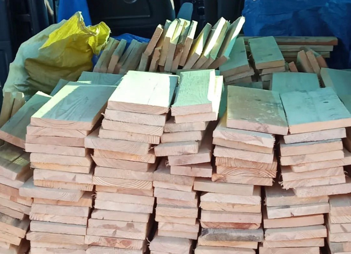 Fundacja Kraina Zwierząt