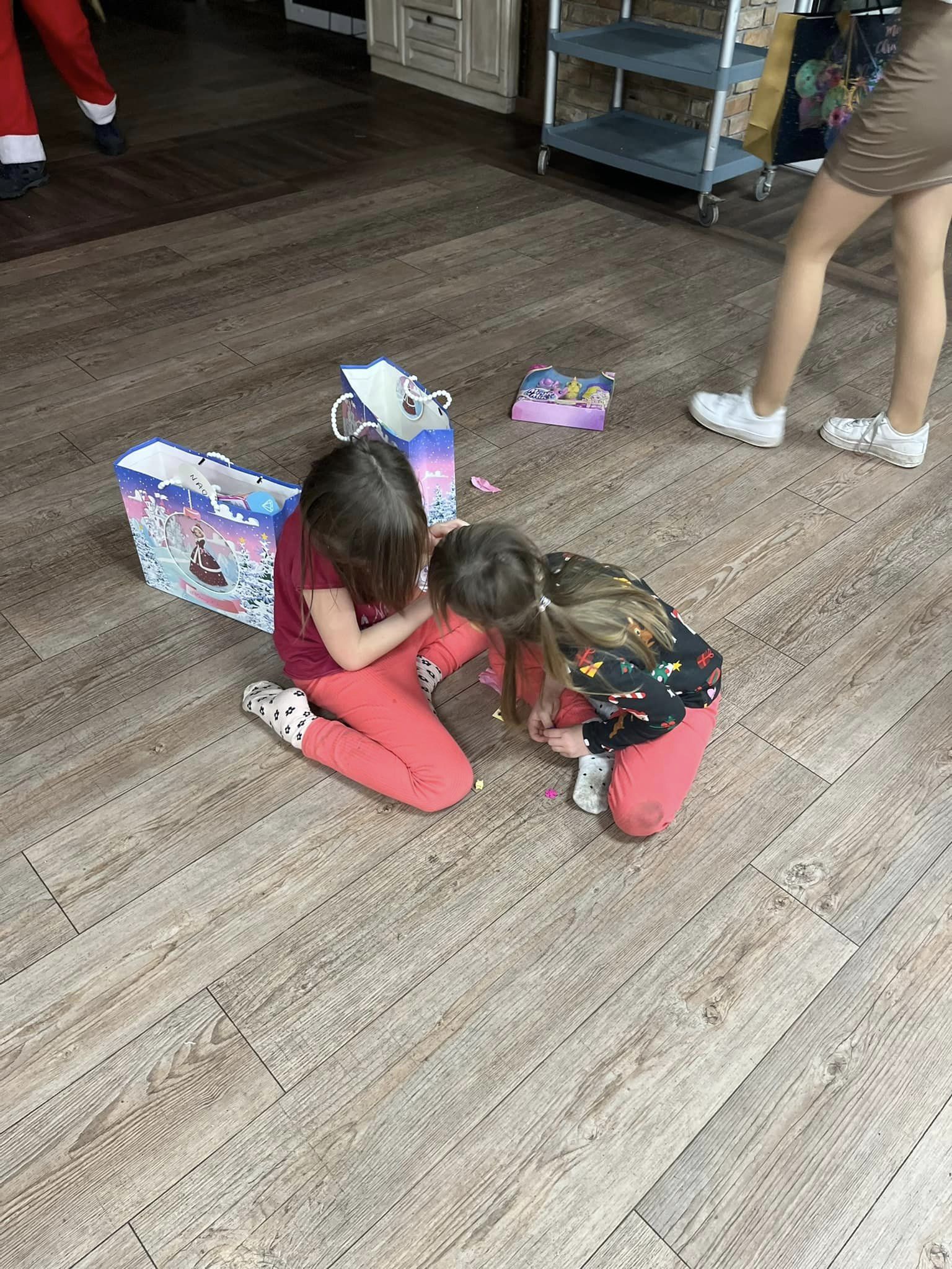 Fundacja Kraina Zwierząt