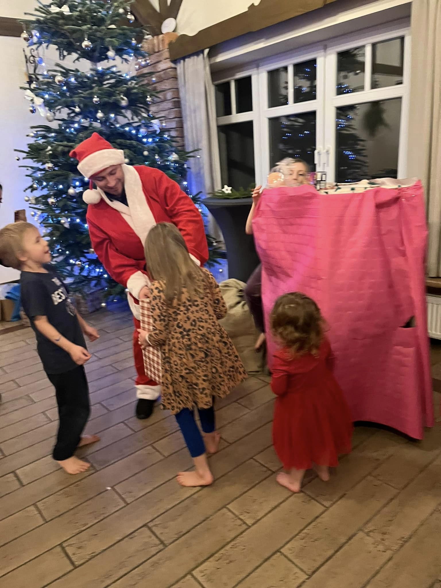 Fundacja Kraina Zwierząt