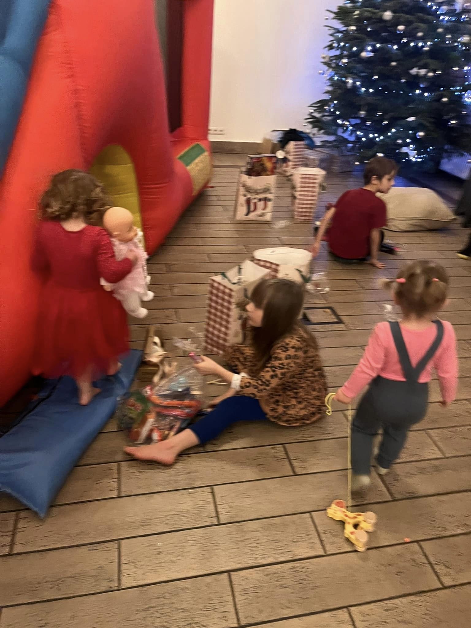 Fundacja Kraina Zwierząt