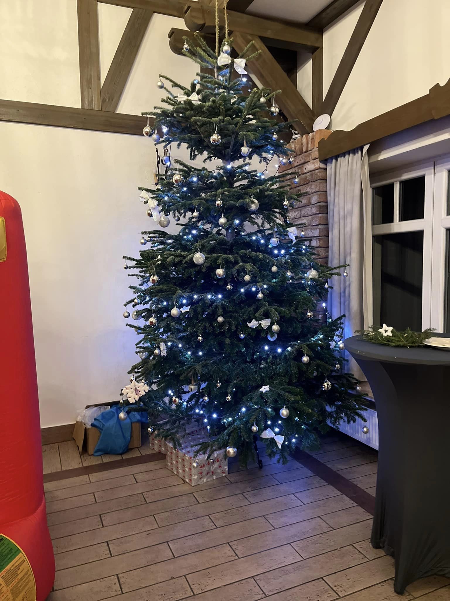 Fundacja Kraina Zwierząt