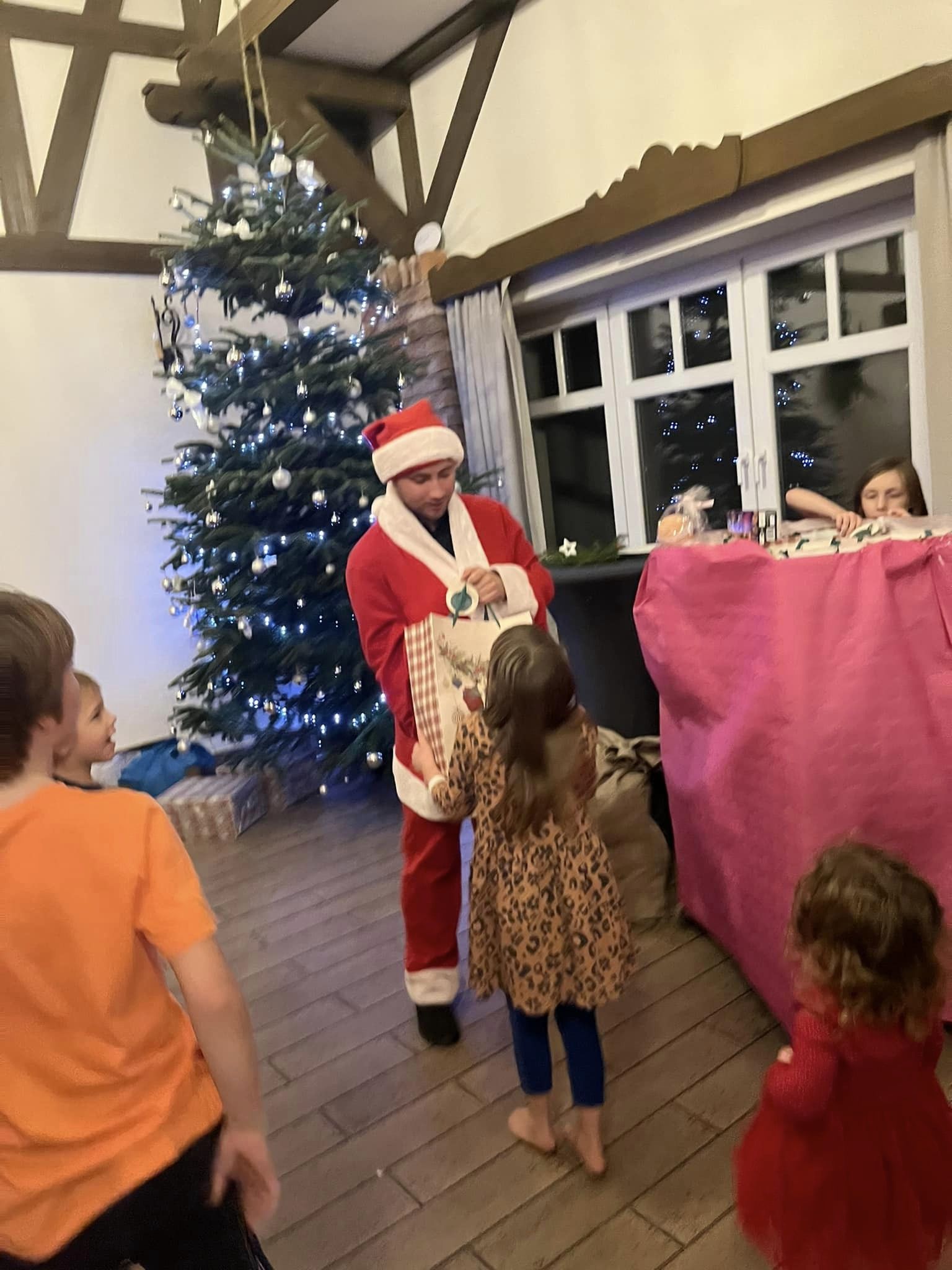 Fundacja Kraina Zwierząt