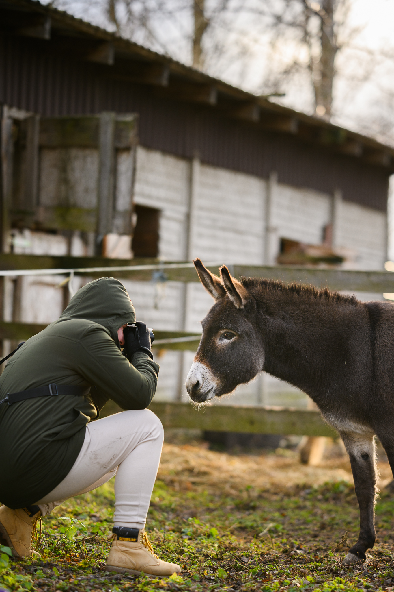 Fundacja Kraina Zwierząt