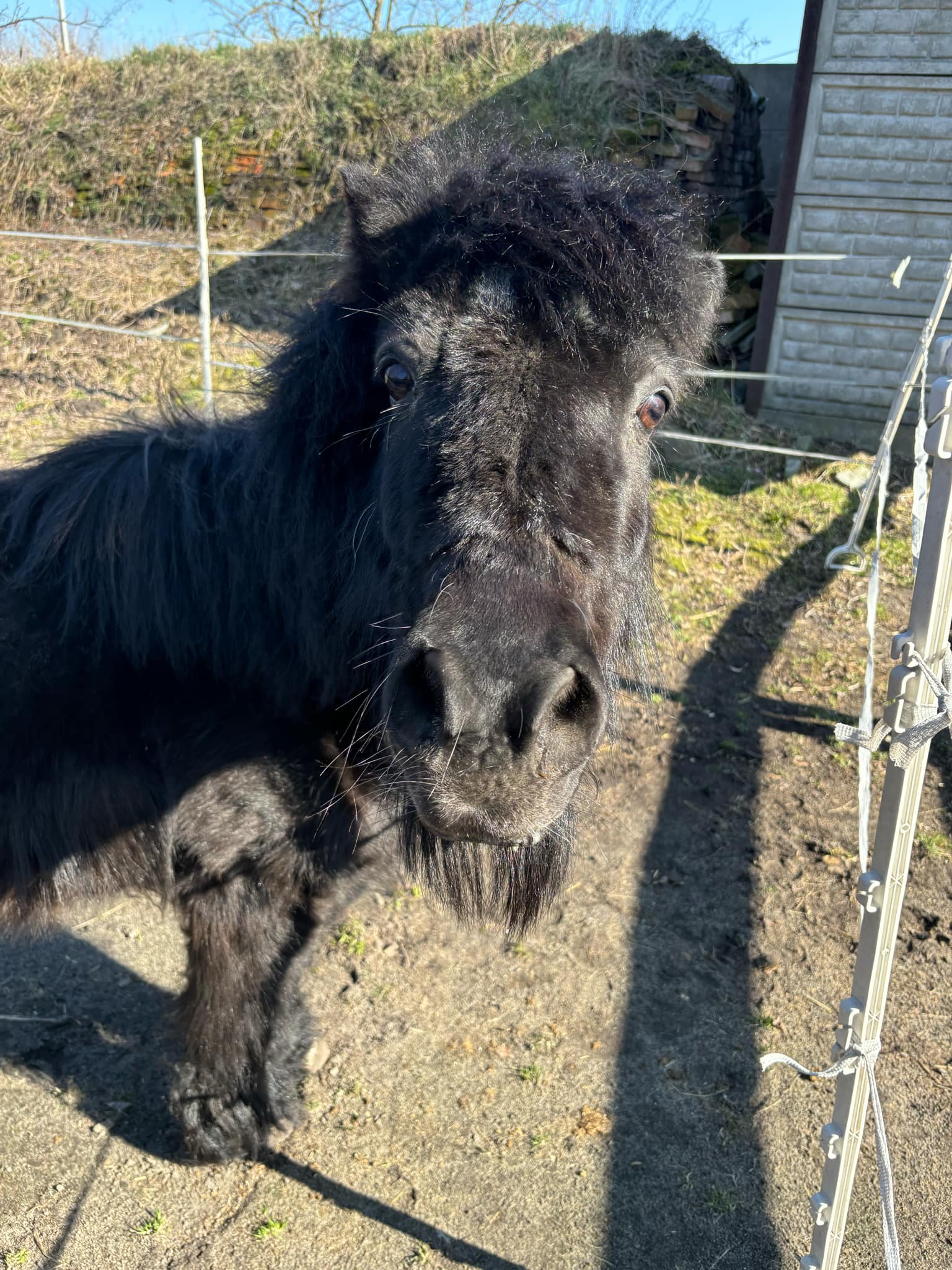 Fundacja Kraina Zwierząt