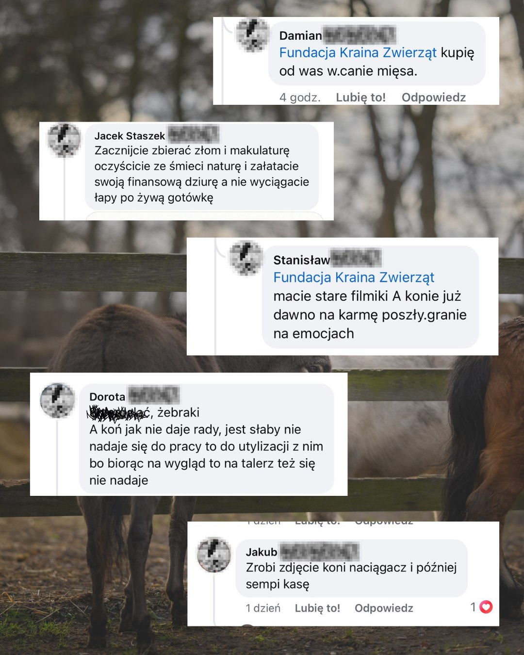 Fundacja Kraina Zwierząt