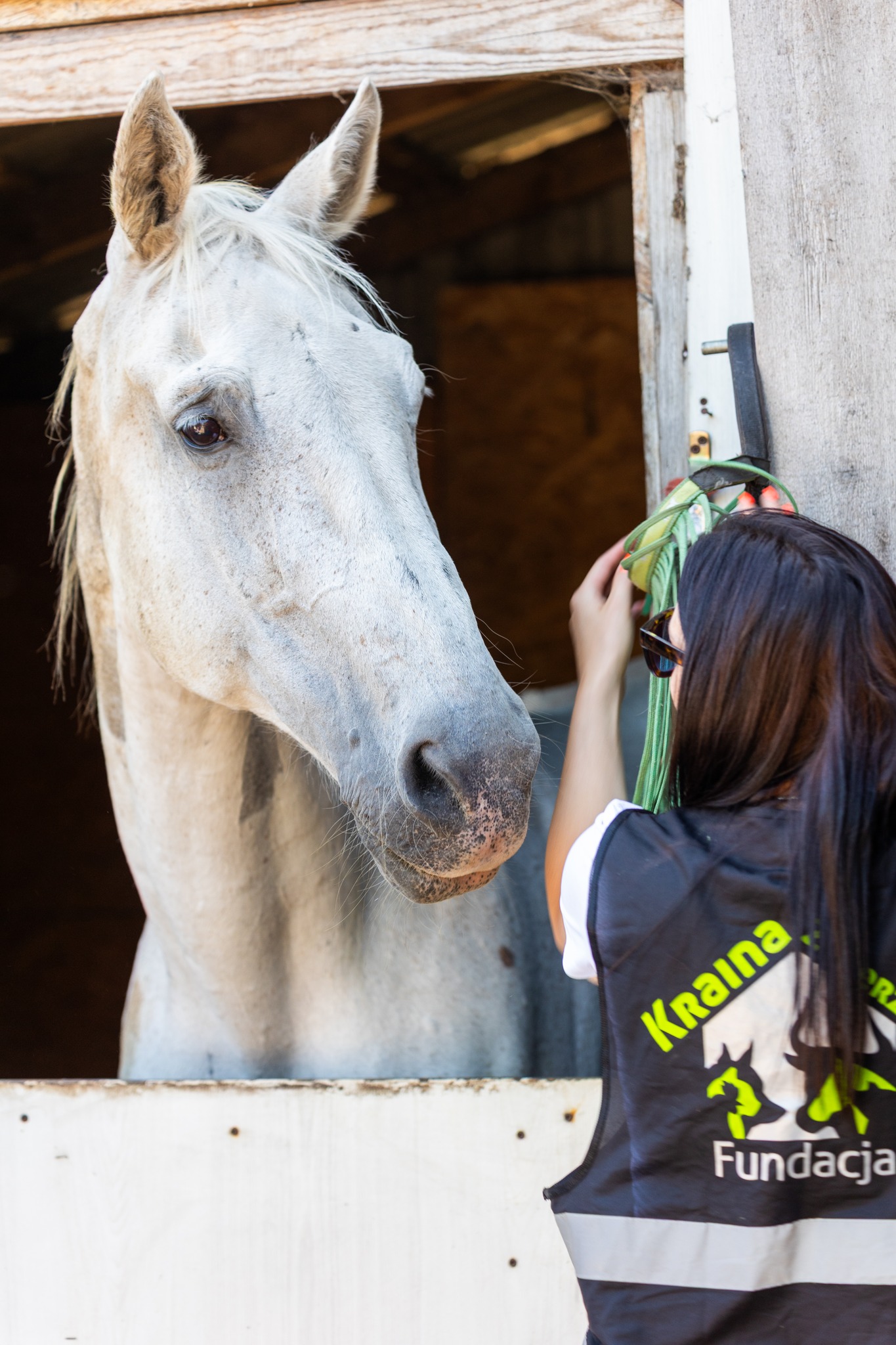 Fundacja Kraina Zwierząt